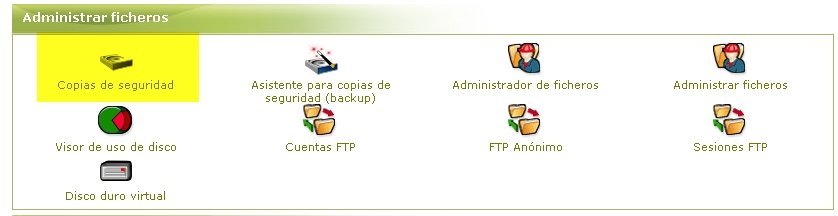 Crear una copia de seguridad - Seguridad sitios Web Vista Cpanel Backup